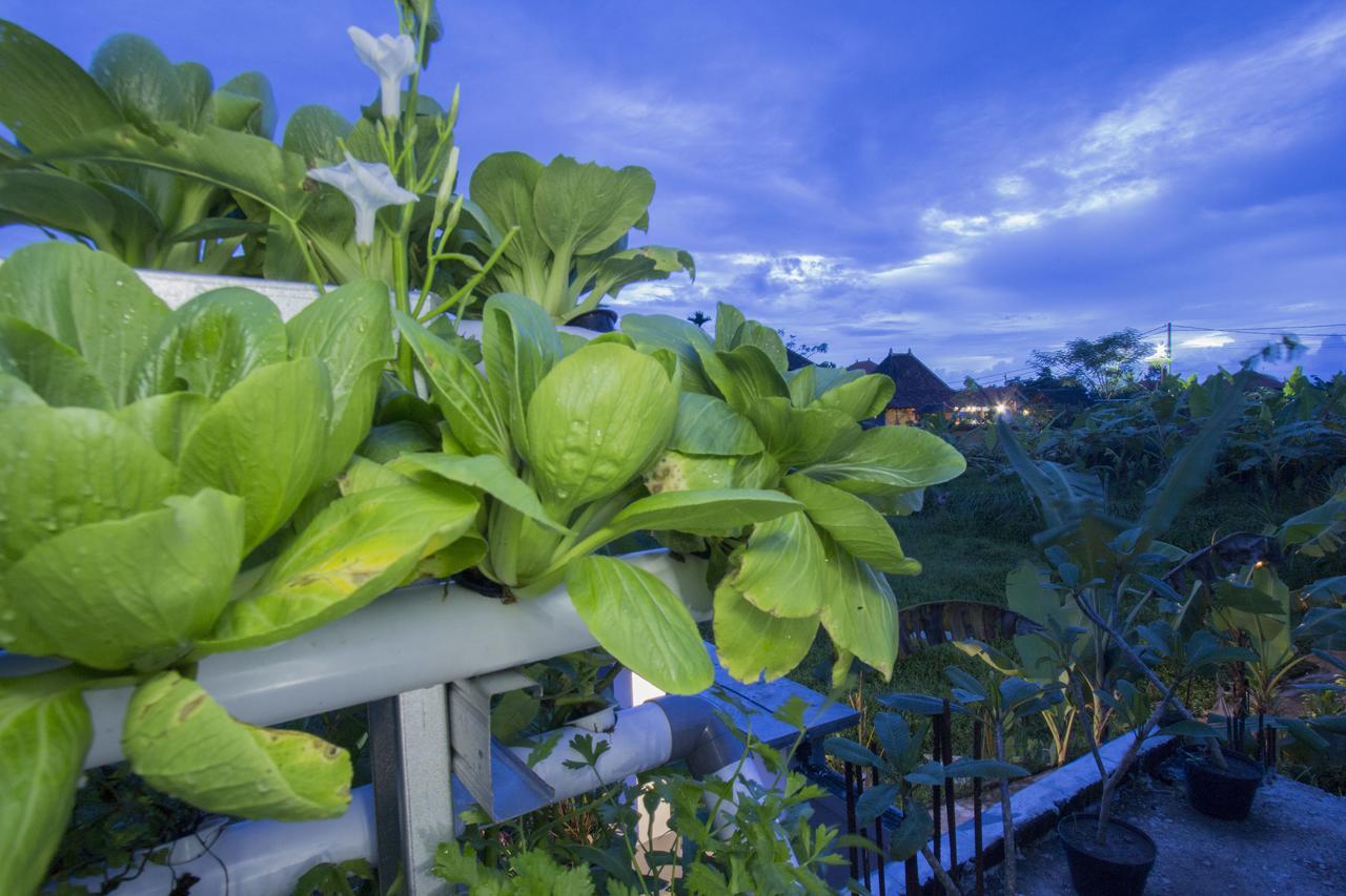 Vinayaka Ubud Hotel Exterior photo