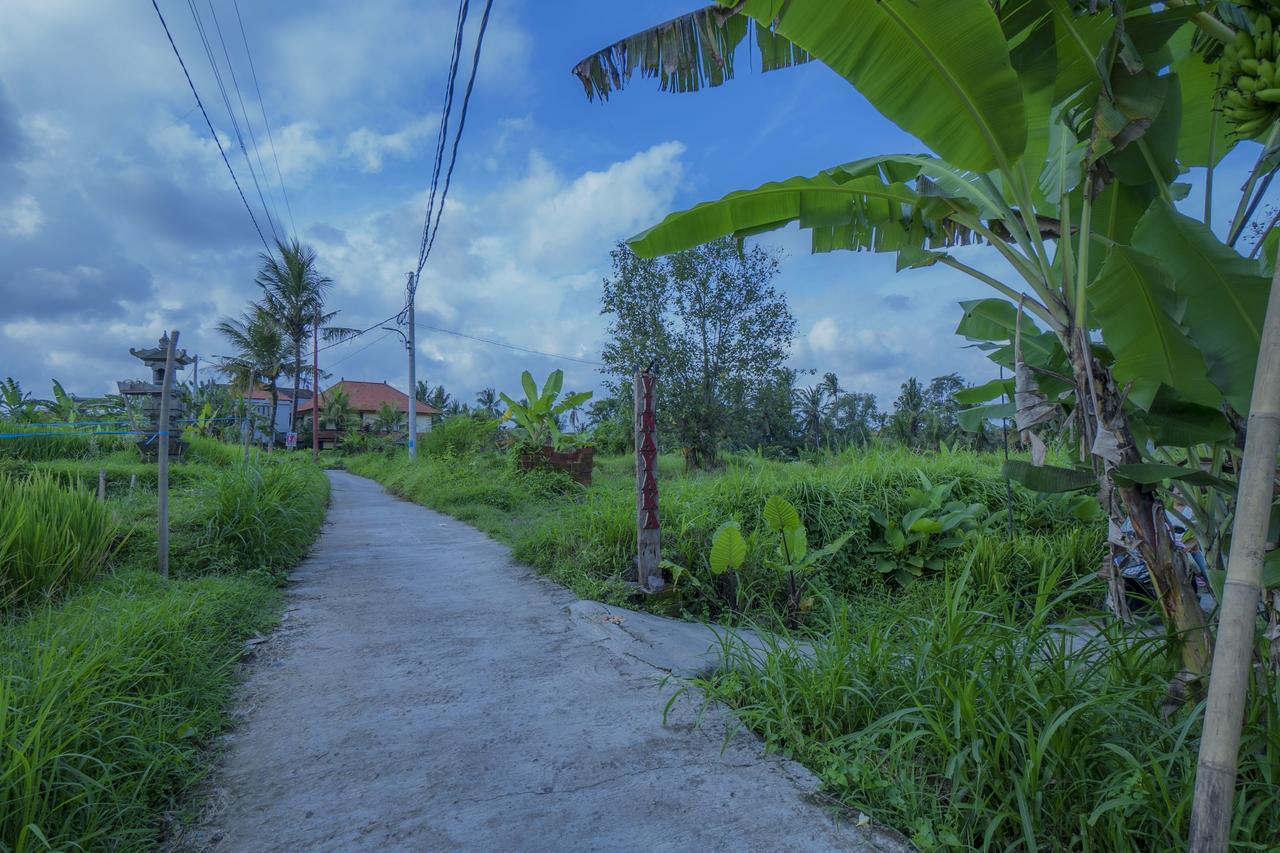 Vinayaka Ubud Exterior photo