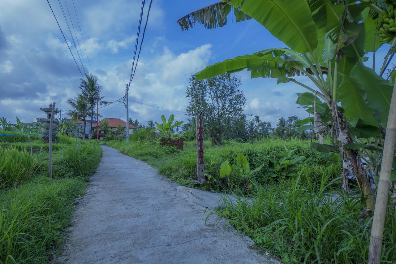 Vinayaka Ubud Hotel Exterior photo