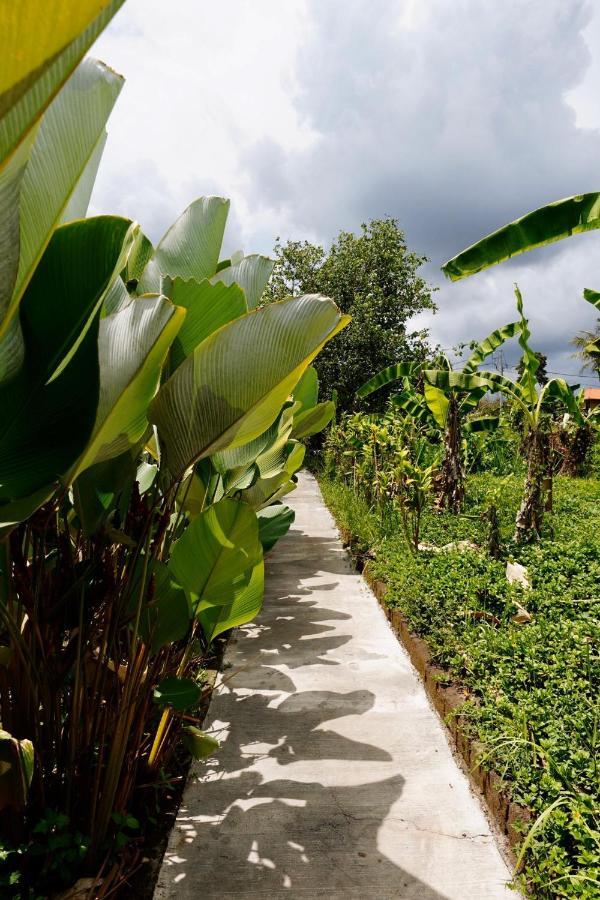 Vinayaka Ubud Hotel Exterior photo